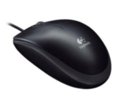 Logitech OEM B110 Black USB 